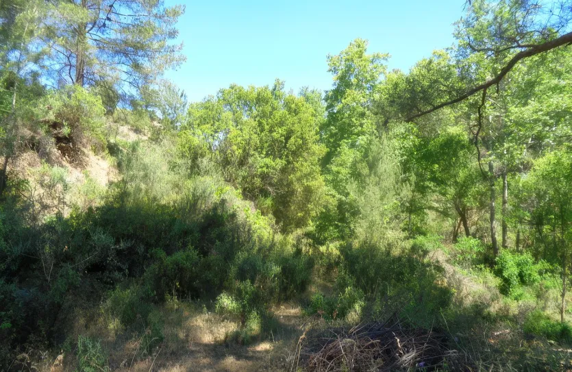 Land - 13652, photo 3