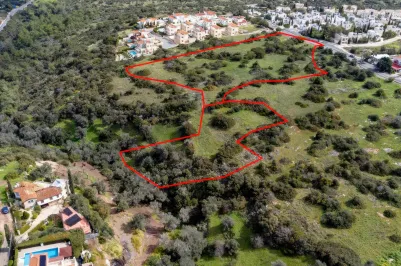 Land - 13645, photo 1