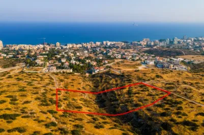 Land - 13602, photo 1