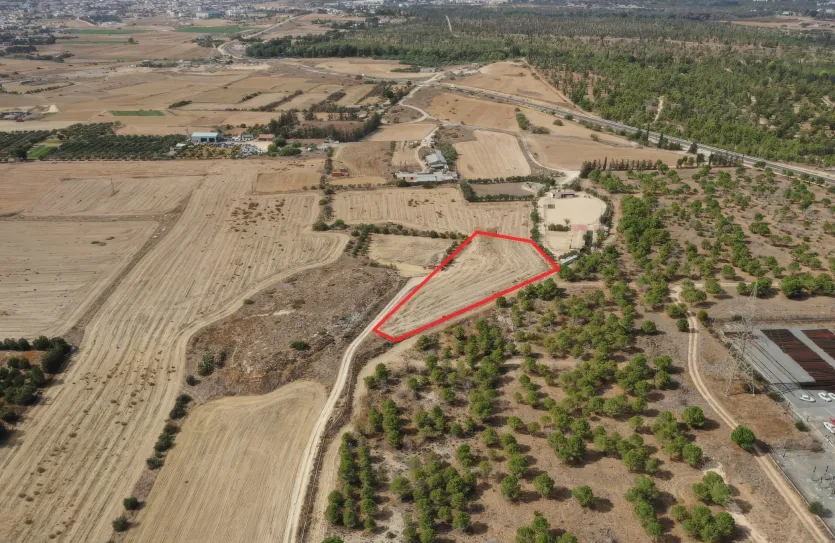 Land - 13596, photo 2