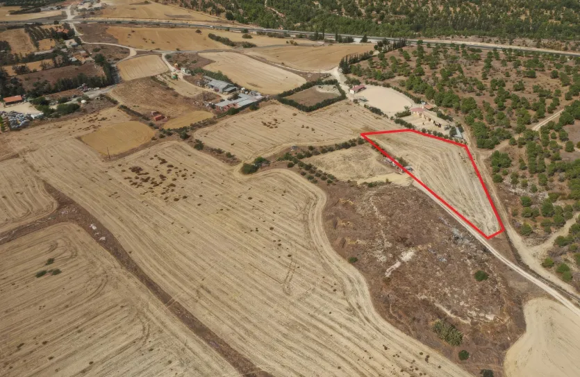 Land - 13596, photo 3