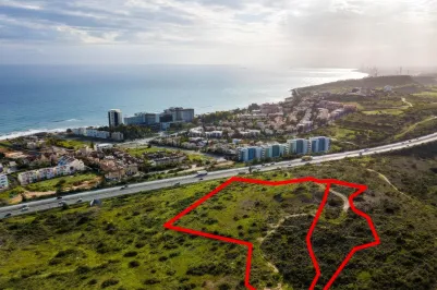 Land - 13591, photo 1