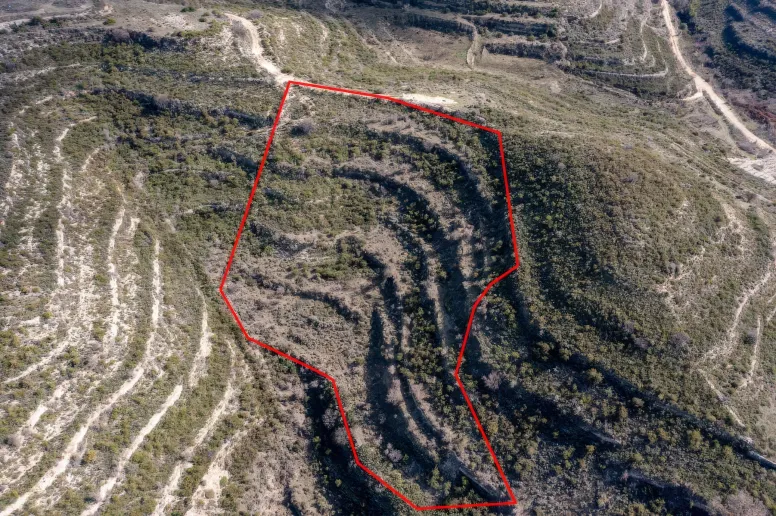 Земельный участок в Пачне, Лимассол