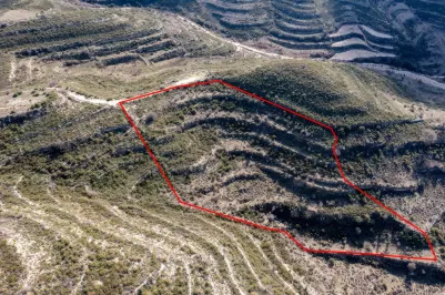 Land - 13580, photo 1