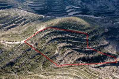 Land - 13580, photo 2