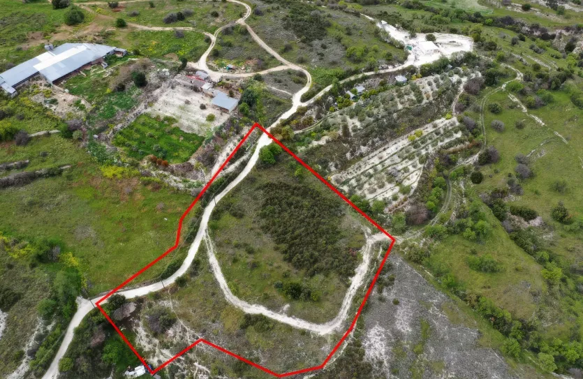 Land - 13571, photo 2