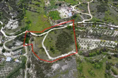 Land - 13571, photo 2