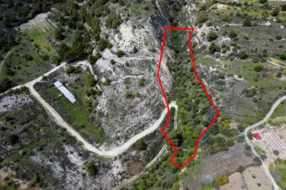 Land - 13568, photo 1