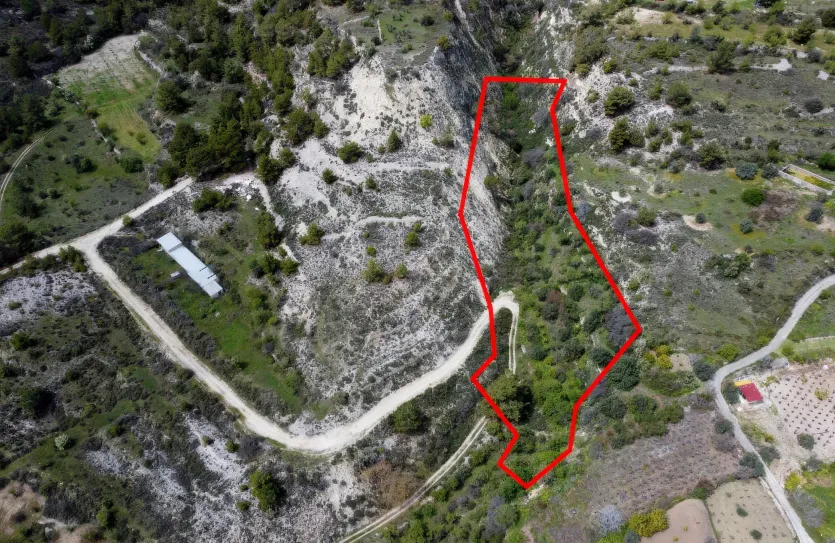 Земельный участок - 13568, photo 2