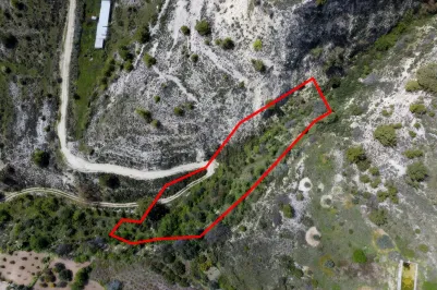 Land - 13568, photo 2