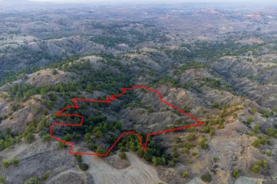 Земельный участок - 13567, photo 1