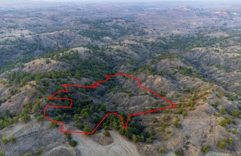 Land - 13567, photo 2