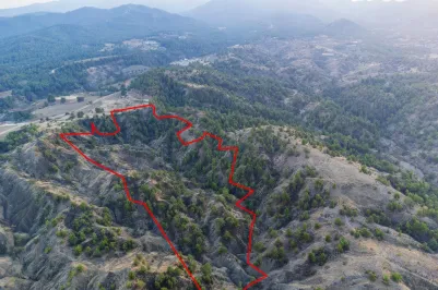 Земельный участок - 13567, photo 2