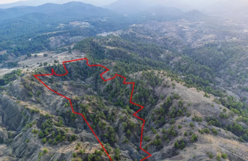 Land - 13567, photo 3