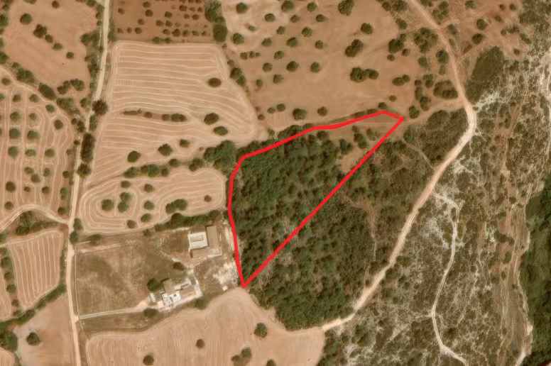 Land in Neo Chorio, Paphos