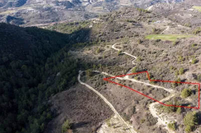 Land - 13561, photo 1