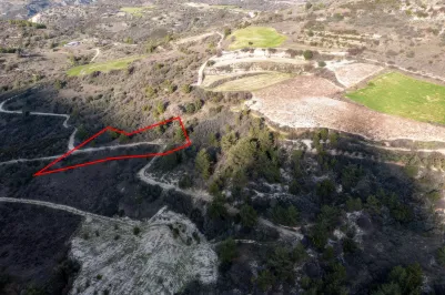 Land - 13561, photo 2