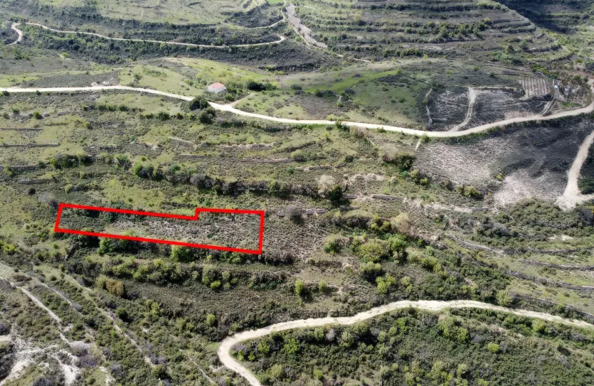 Land for sale - 13559