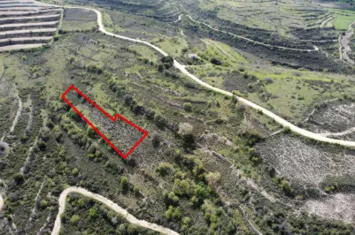 Land - 13559, photo 1