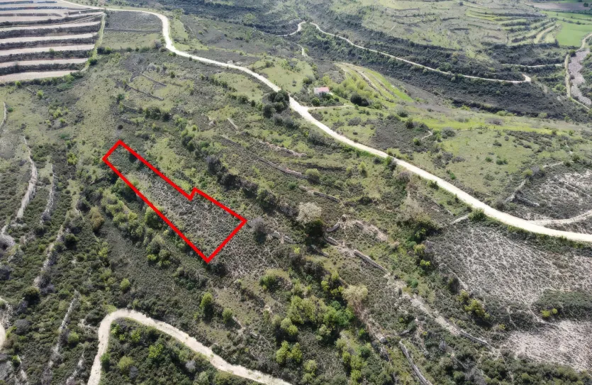 Land - 13559, photo 2