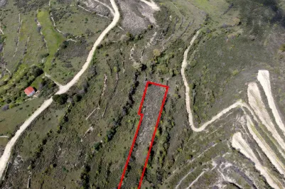 Land - 13559, photo 2