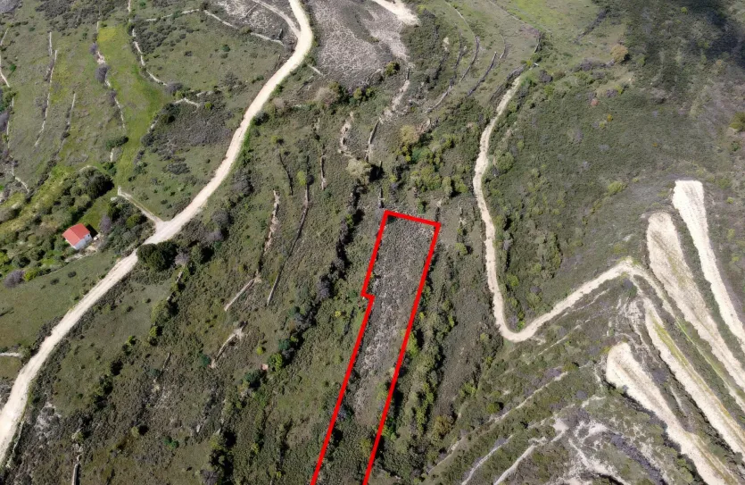 Land - 13559, photo 3