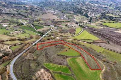 Land - 13555, photo 1