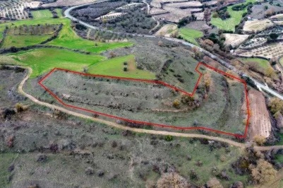 Land - 13555, photo 2