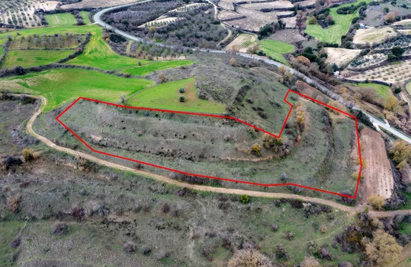 Land - 13555, photo 3