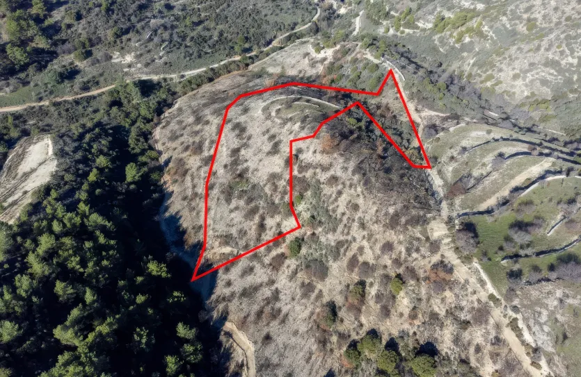 Land - 13548, photo 2