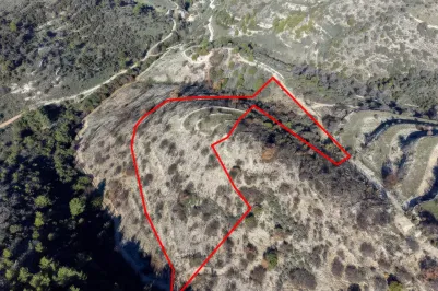 Land - 13548, photo 2