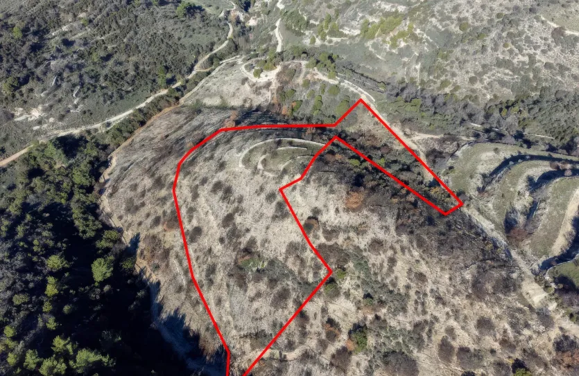 Land - 13548, photo 3