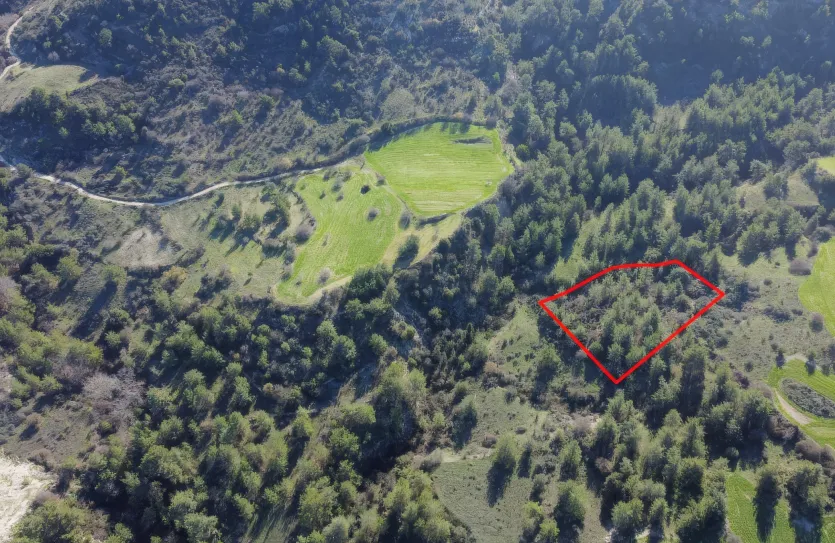 Land for sale - 13547