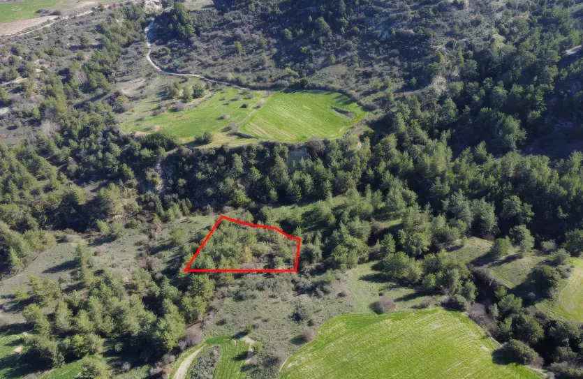 Land - 13547, photo 2