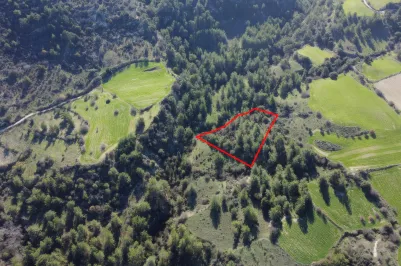 Land - 13547, photo 2