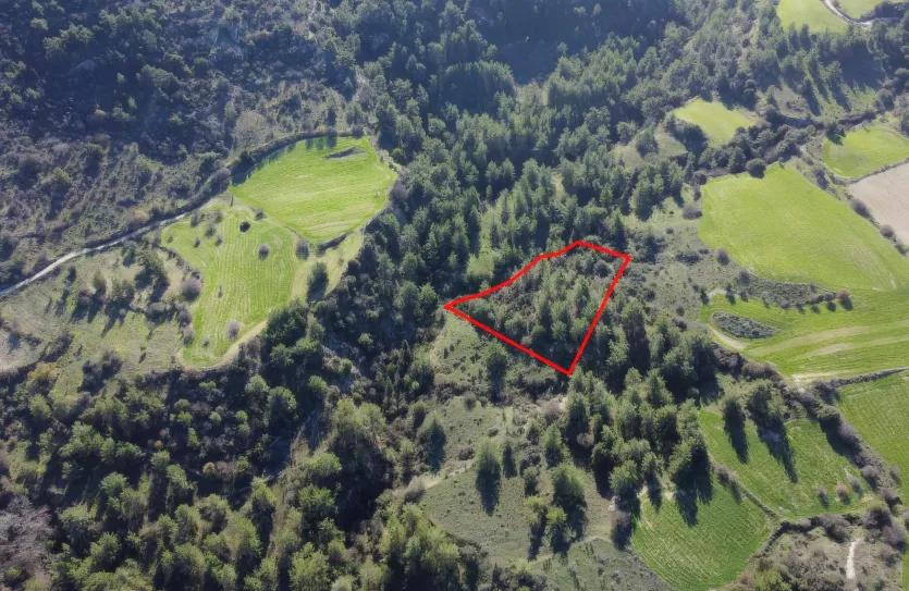 Land - 13547, photo 3