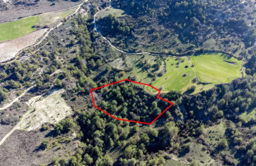 Land for sale - 13546