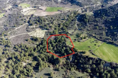 Land - 13546, photo 1