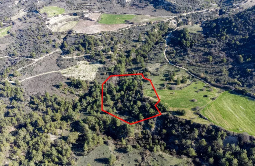 Land - 13546, photo 2