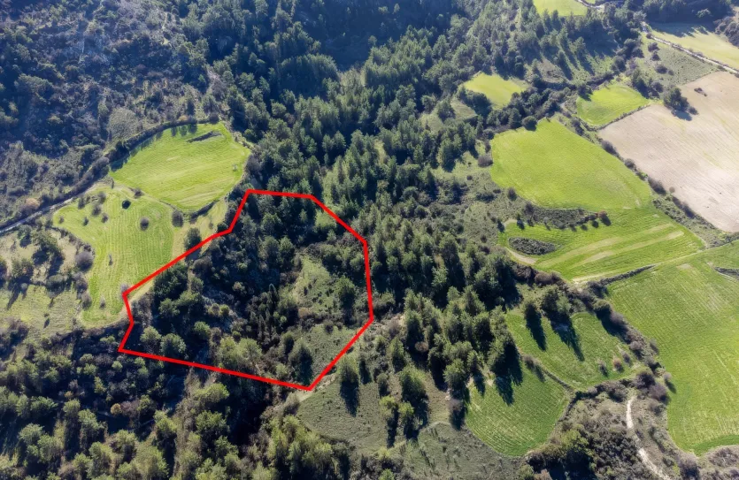 Land - 13546, photo 3