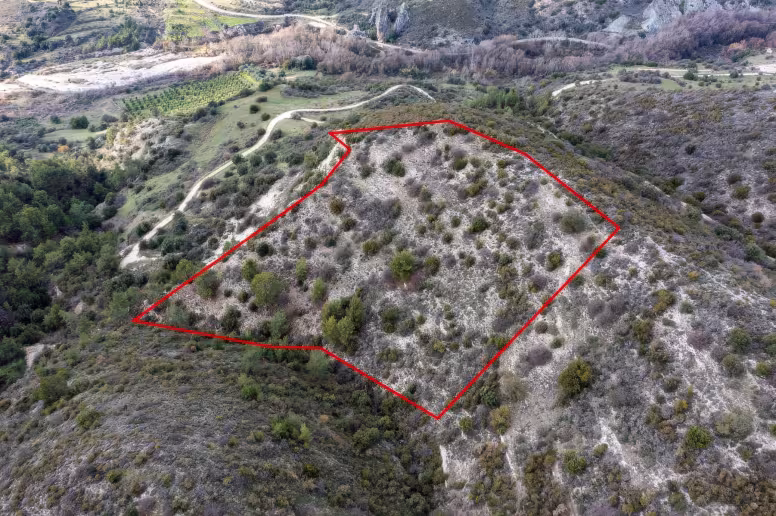 Земельный участок в Доре, Лимассол