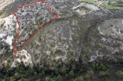 Land - 13545, photo 1