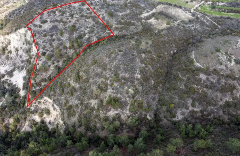 Land - 13545, photo 2