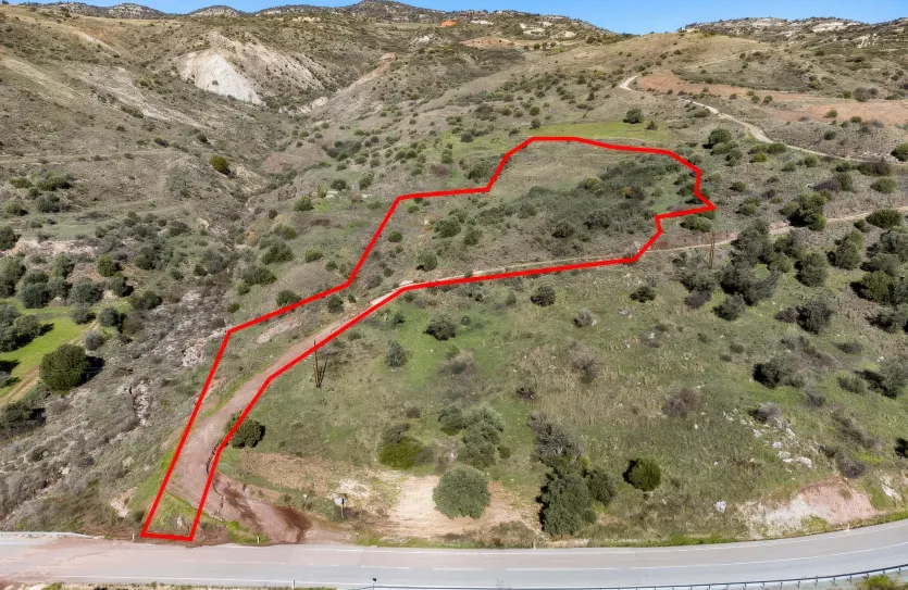 Land - 13542, photo 2