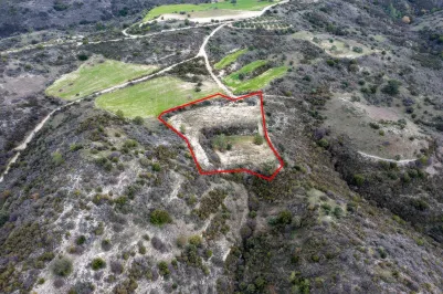 Land - 13536, photo 2