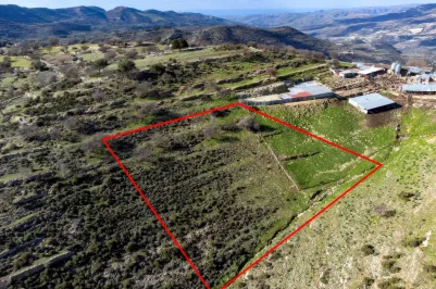 Land - 13532, photo 1