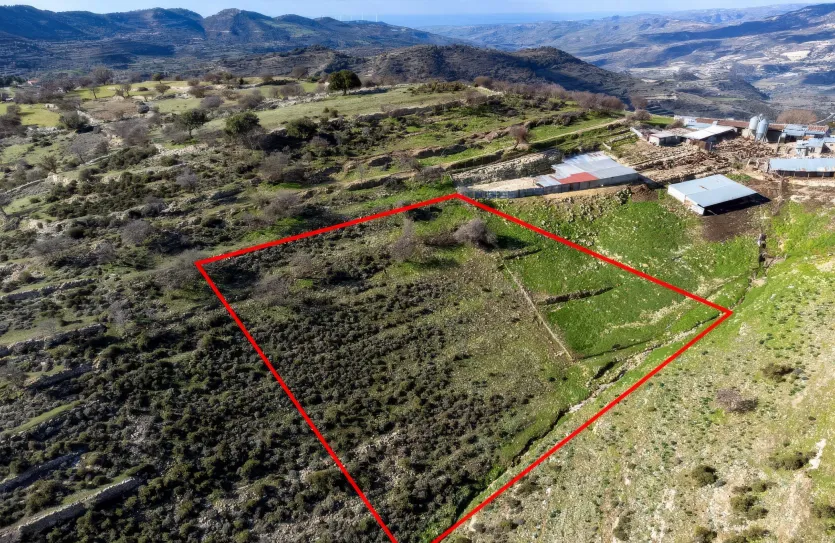 Land - 13532, photo 2