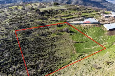 Land - 13532, photo 2