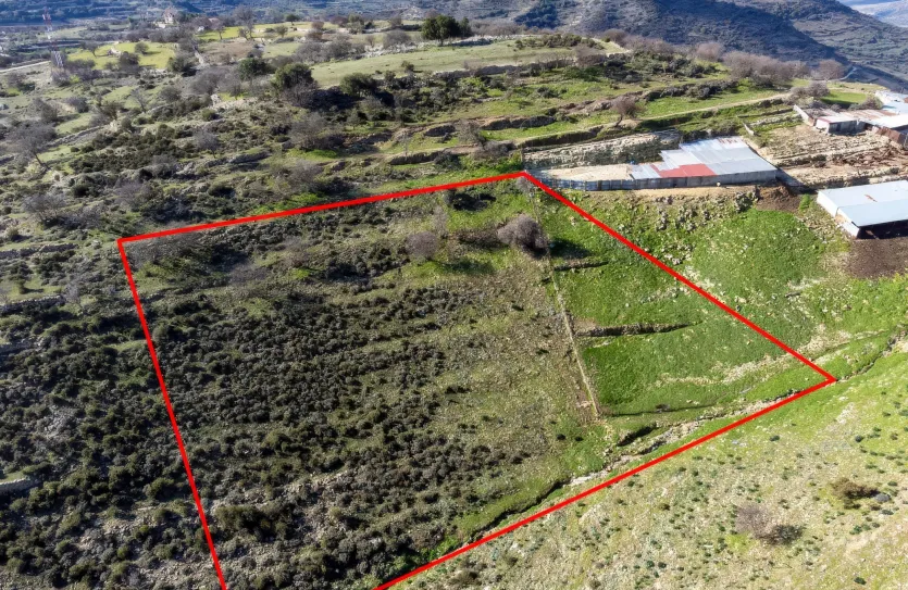 Land - 13532, photo 3