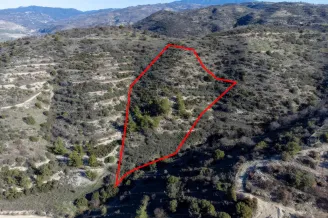 Land in Mousere, Paphos - 13529
